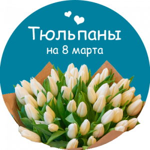 Купить тюльпаны в Петропавловске-Камчатском